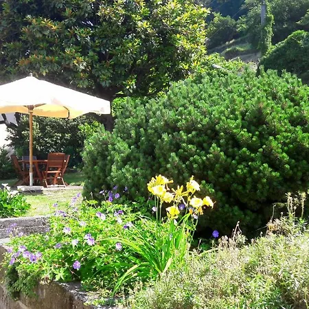 Giardino فيلة